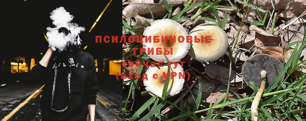 мдпв Покачи