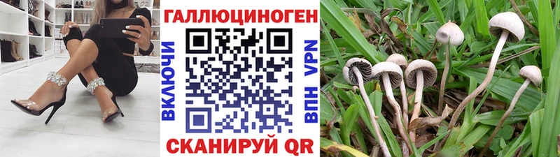 Галлюциногенные грибы MAGIC MUSHROOMS  Прокопьевск 