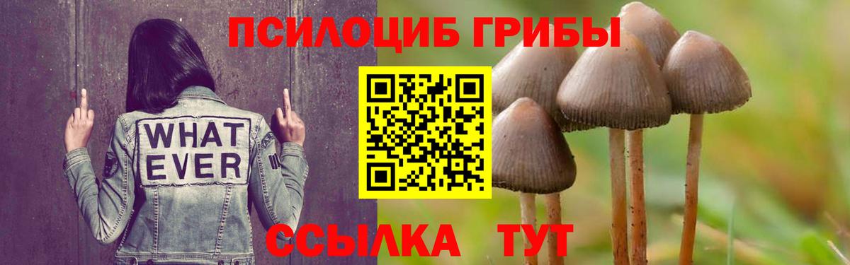 Экстази Прокопьевск